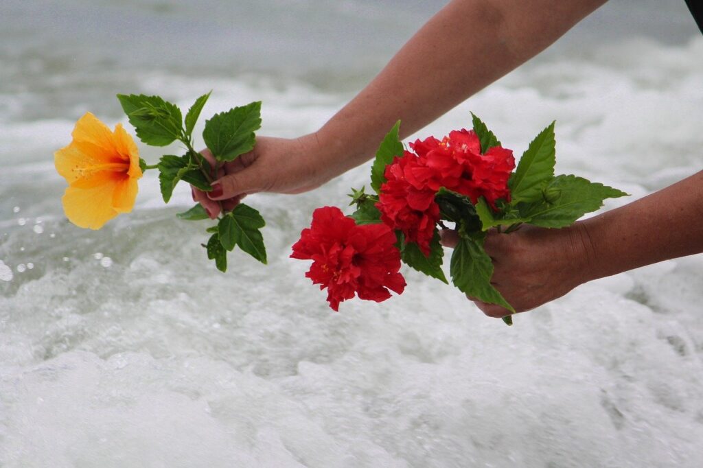 flowers-delivery-pick-best-flowers